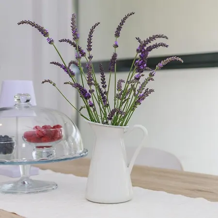 Vengust Appartement