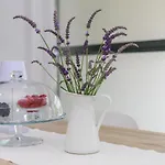 Vengust Apartment