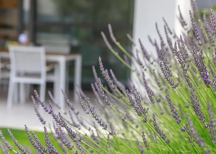 Vengust Apartament *